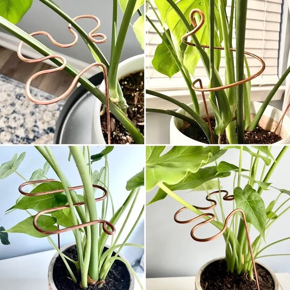 Design and create your own wire Plant Stake: Tuesday, May 19th; 6:30 - 8:30pm